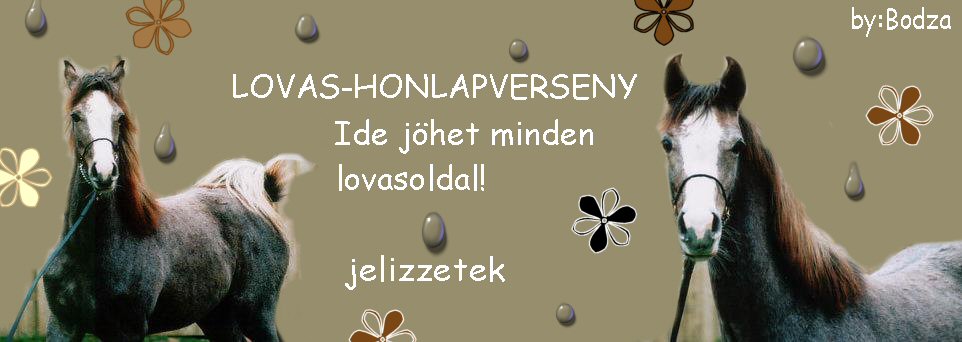 lovashonlapverseny